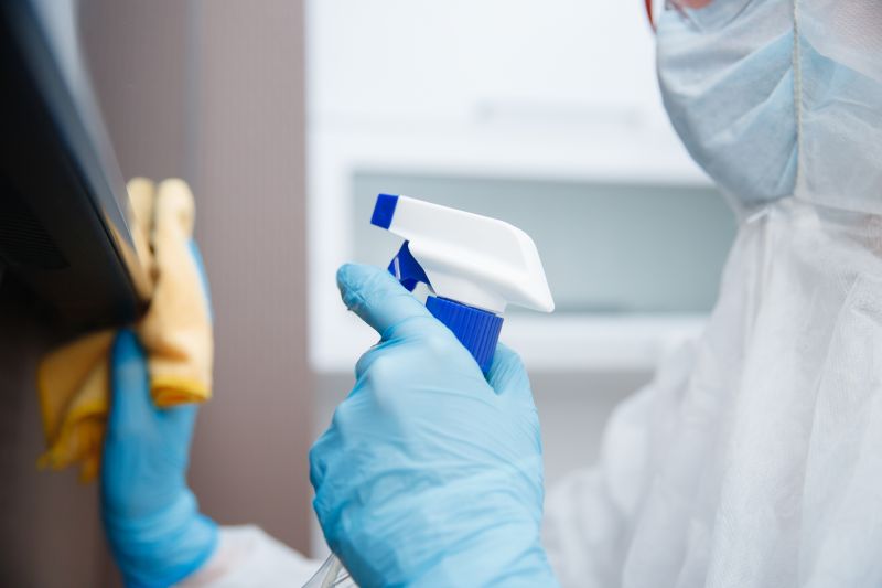 Black Widow Removal Service