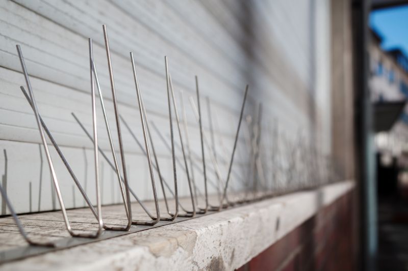 Seagull Spike Installation